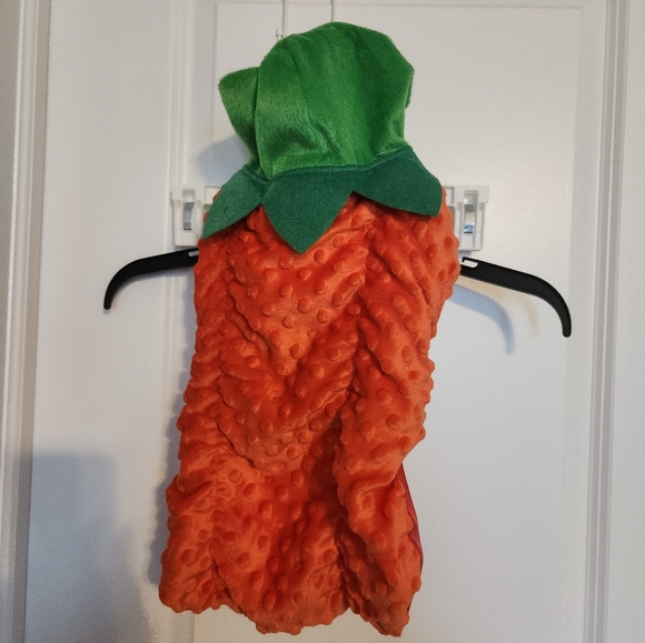 NWT. Pet costume size medium. Strawberry. - Picture 4 of 5